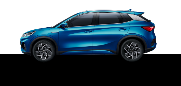 case byd